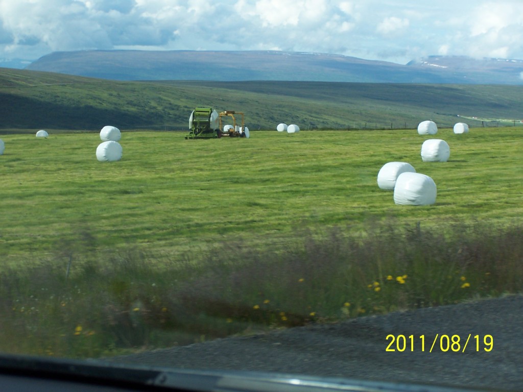 Hayfield