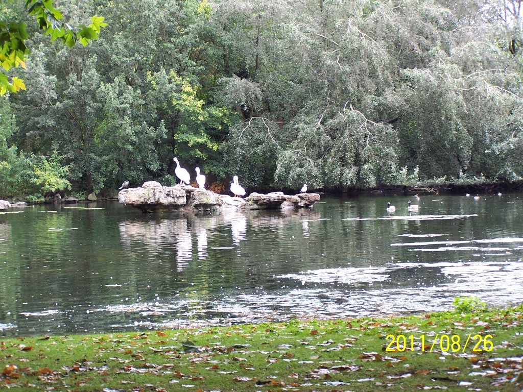 King James Park