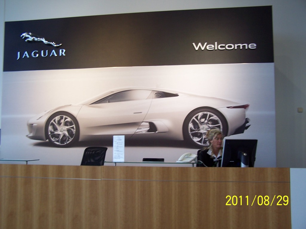 Jaguar visitor