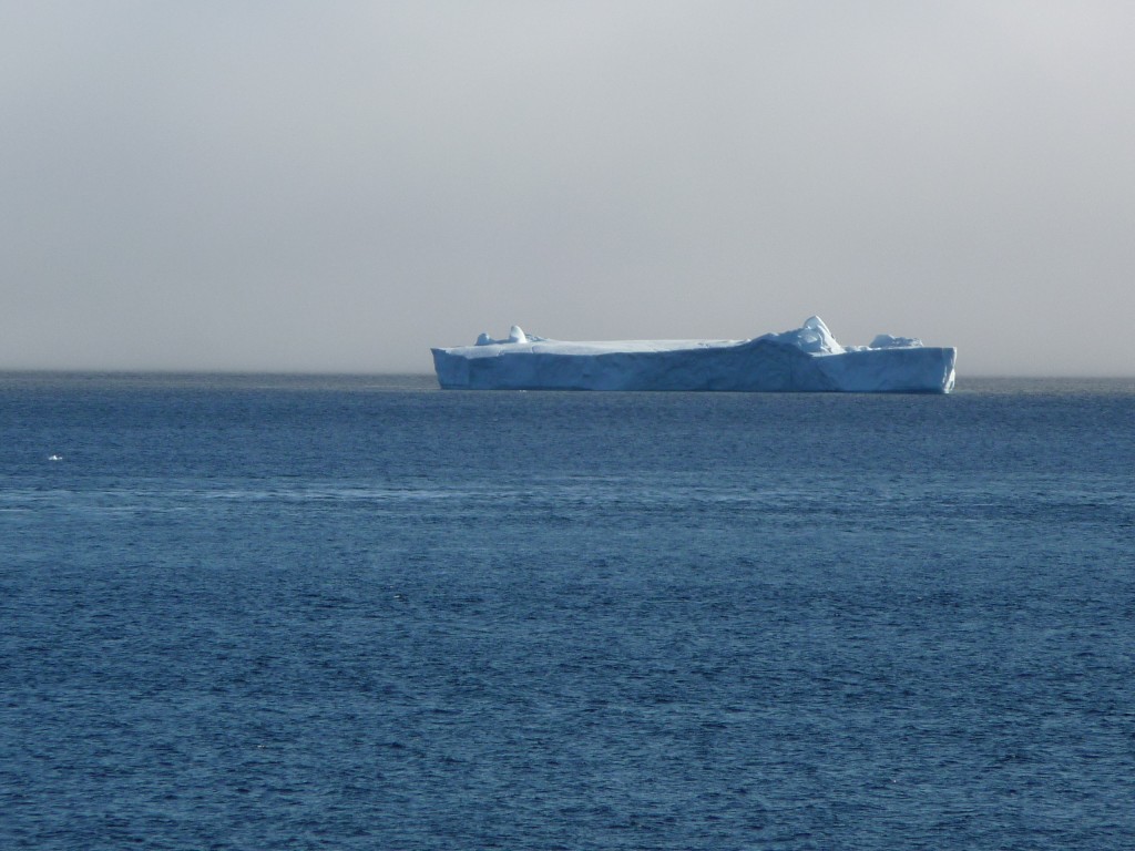 P1020979
