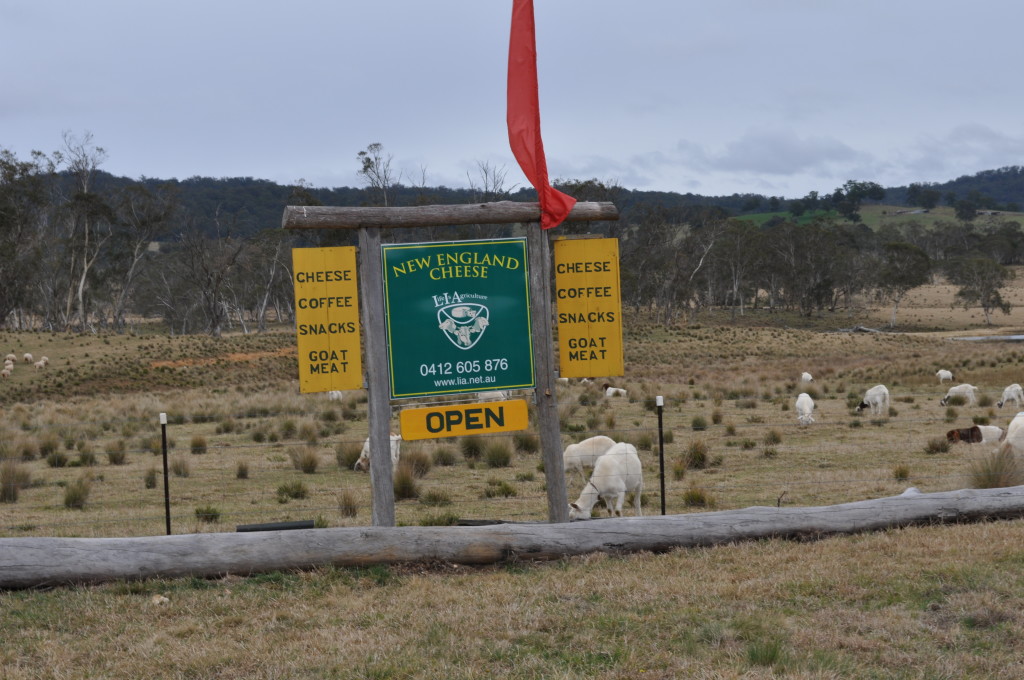 New England Cheese Factory