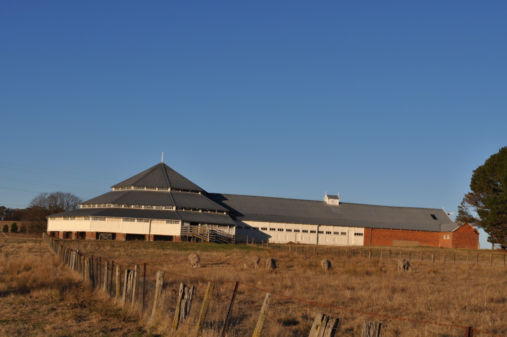 Deeargee Woolshed 1872