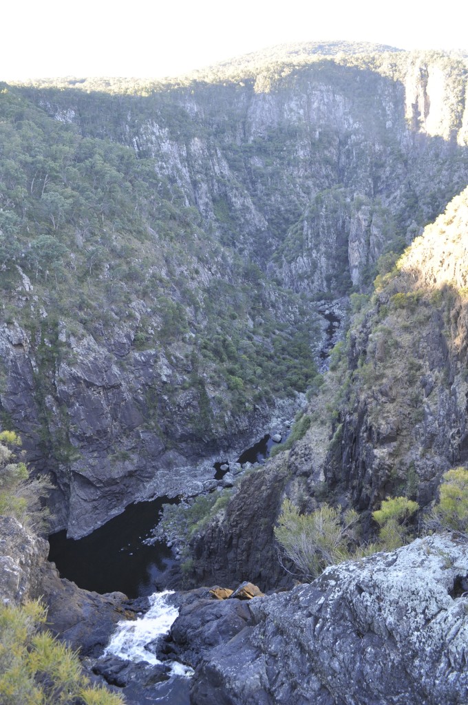 DSC_0473